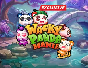 Slingshot Studios - Wacky Panda Mania